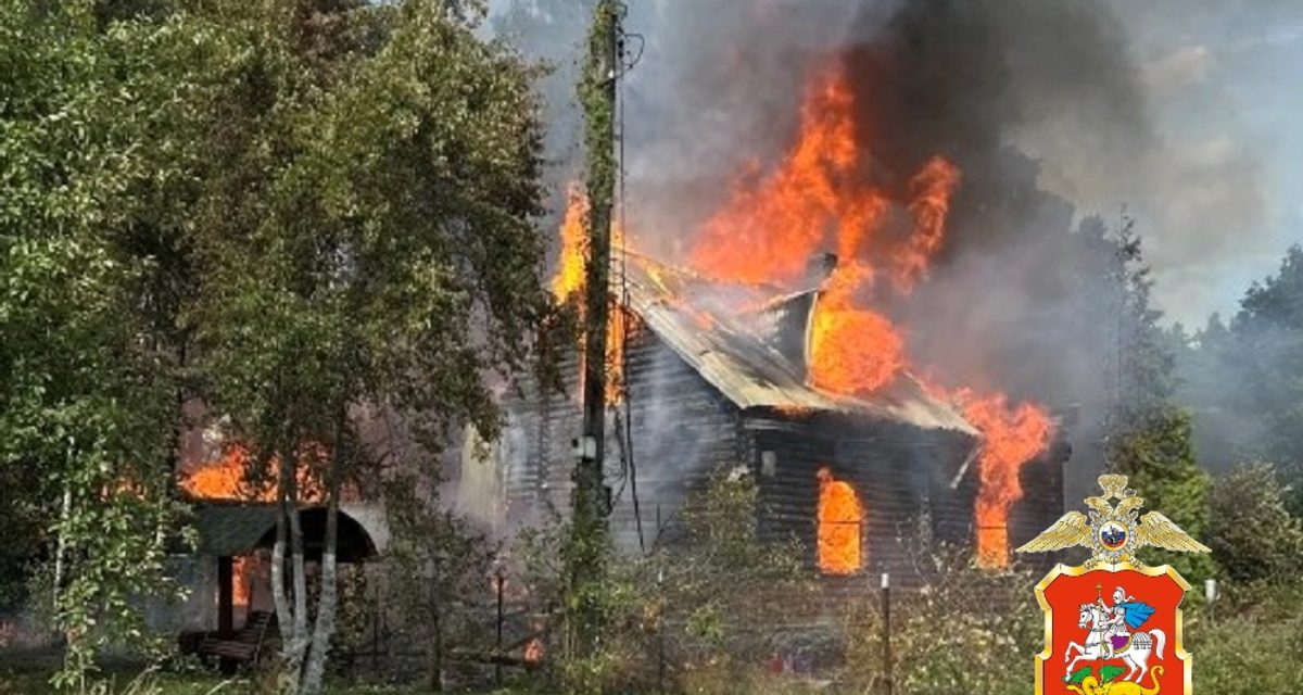 Полицейские из Балашихи спасли мужчину на пожаре в СНТ